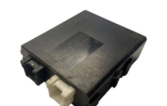 Hyundai Santa Fe Other control units/modules 9875026000