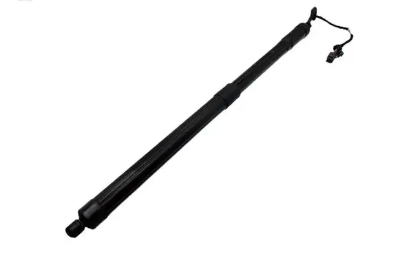 Tailgate strut