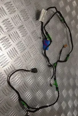 Front door wiring loom