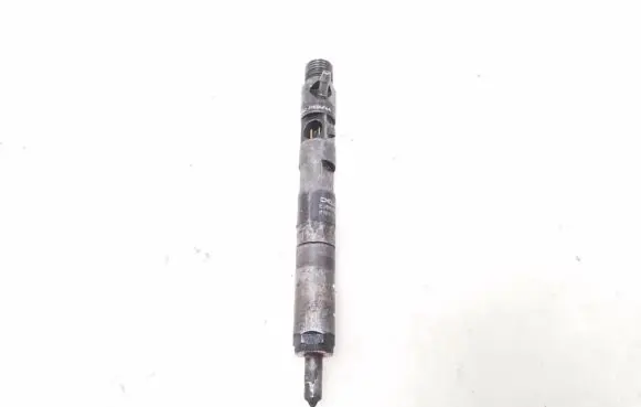 Renault Megane II Fuel injector 8200365186