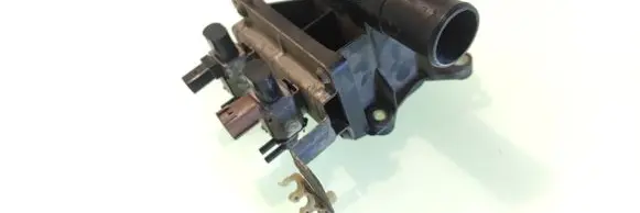 Thermostat/thermostat housing