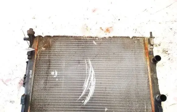 Renault Scenic II - Grand scenic II Coolant radiator 872199f rm1262