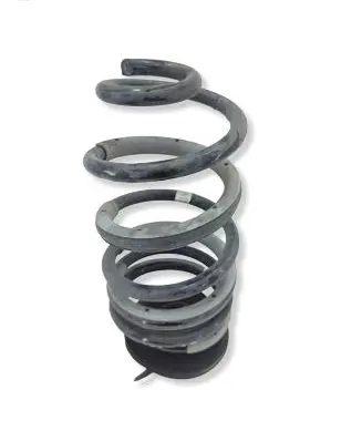 Ford Transit Custom II Rear coil spring PZ315534 08T1124