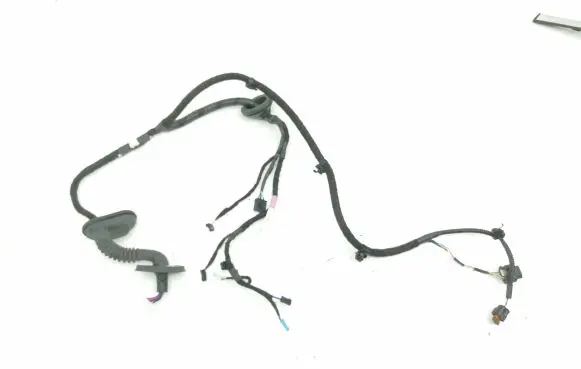 Tesla Model 3 Rear door wiring loom 206796600B