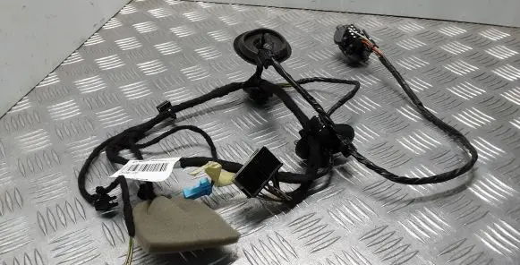 Rear door wiring loom