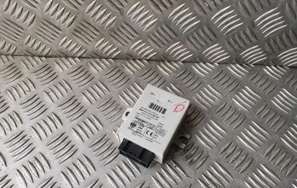 BMW X5 E53 Immobilizer control unit/module 61356905667 6905667 61356905666