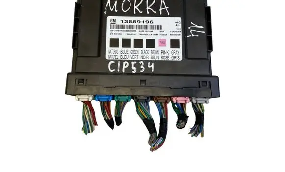 Opel Mokka Comfort/convenience module 13589196 F00HJ01081 130923