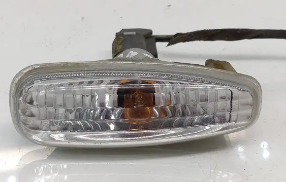 Front fender indicator light