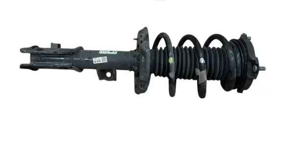 Front shock absorber with coil spring