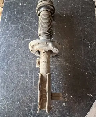 Opel Insignia A Front shock absorber/damper