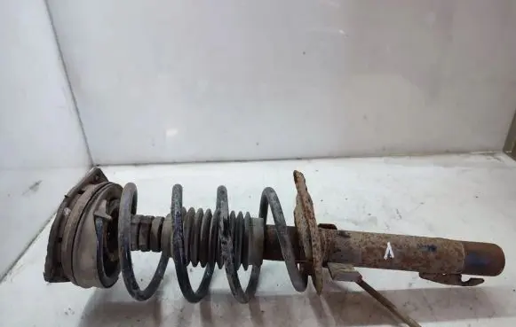 Renault Megane II Front shock absorber with coil spring