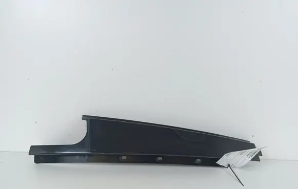 Other rear door trim element