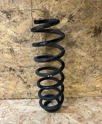 Rear coil spring