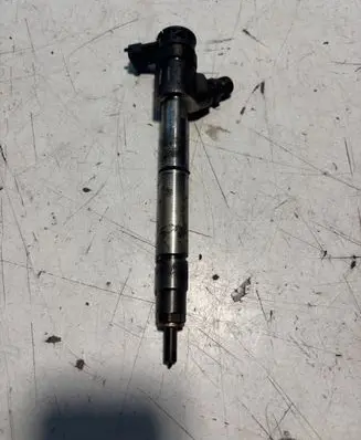 Opel Zafira C Fuel injector 55488616