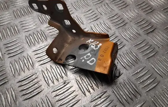 Dacia Sandero Fender mounting bracket 260422240R
