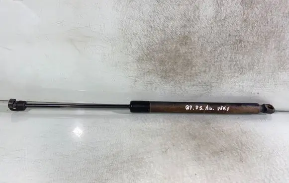 Tailgate/trunk strut/damper