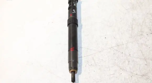 Fiat Scudo Fuel injector 9686191080