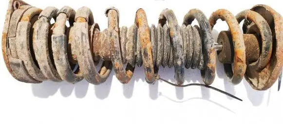 Rear coil spring
