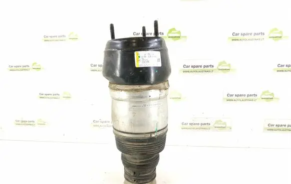 Mercedes-Benz GLE (W166 - C292) Air suspension front shock absorber DALISID4833 1663204166