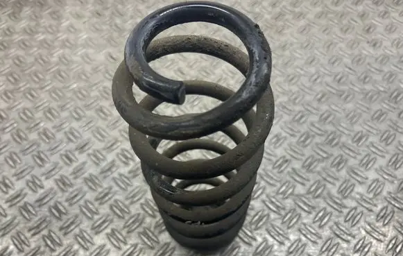 Rear coil spring