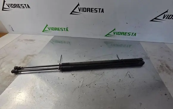 Opel Antara Tailgate/trunk strut/damper 95917196 05532220813