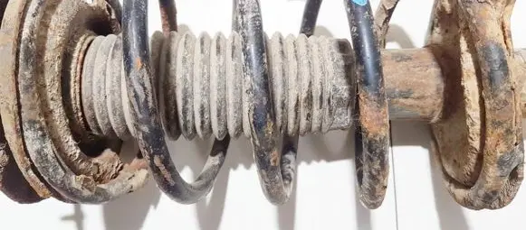 Peugeot 206 Front coil spring