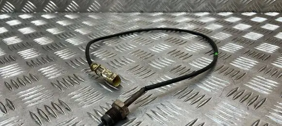 Skoda Octavia Mk3 (5E) Exhaust gas temperature sensor 