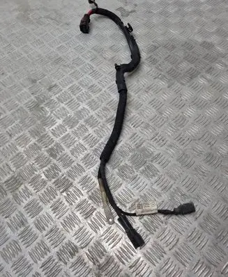 Audi A5 Other wiring loom 8W1971111C
