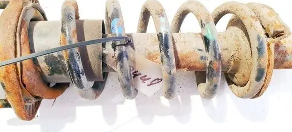 Rear coil spring