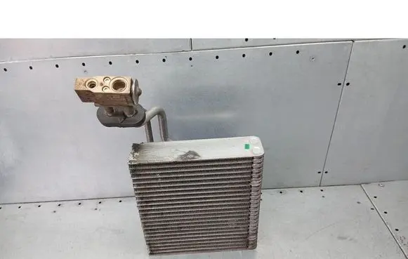 Renault Scenic I Heater blower radiator 