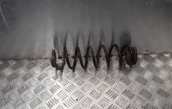 Volkswagen Polo Rear coil spring