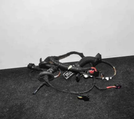Audi A6 S6 C7 4G Rear door wiring loom 4F0971841E