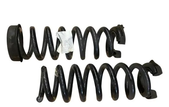 Rear coil spring