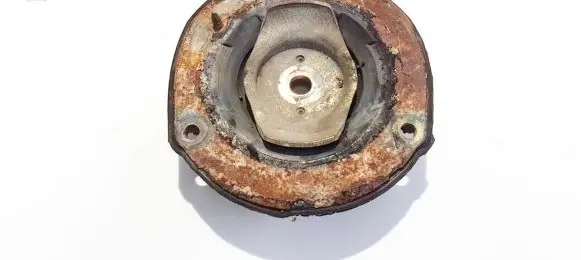 Peugeot 406 Coil spring mount 
