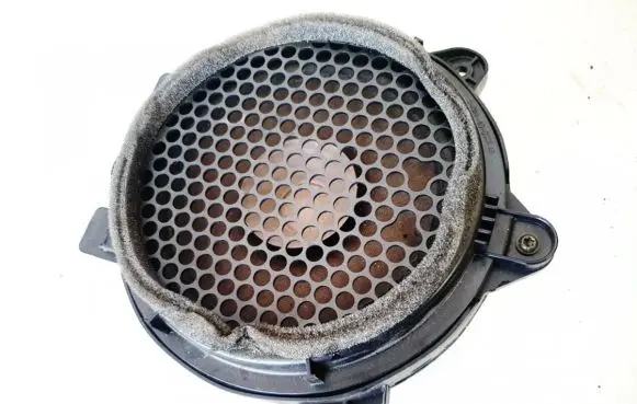 Front door speaker