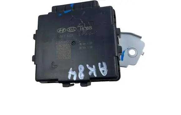KIA Optima Other control units/modules 96880A8200