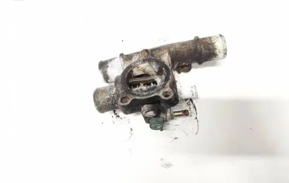 Fiat Stilo Engine coolant pipe/hose 16776217