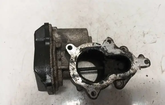 EGR valve