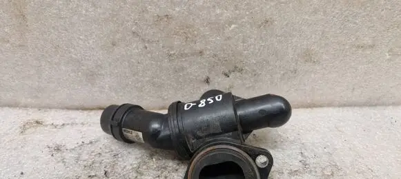 Thermostat/thermostat housing