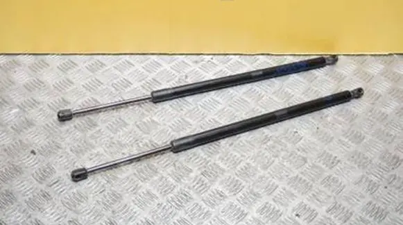 Ford Bronco Tailgate strut M1PB-S406A10