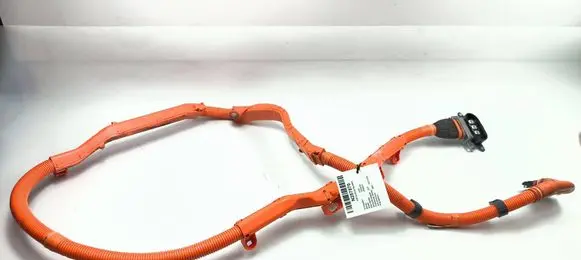 Toyota Mirai II Wiring harness 821H362040