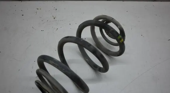 Rear coil spring