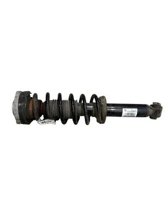 BMW X3 F25 Rear shock absorber/damper 6796317