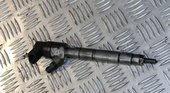 Mercedes-Benz S W220 Fuel injector A6280700587 0445110208