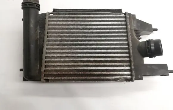 Nissan Juke I F15 Intercooler radiator 144613ZU0B