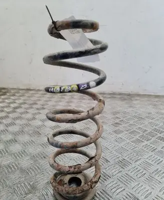Volkswagen PASSAT B6 Rear coil spring