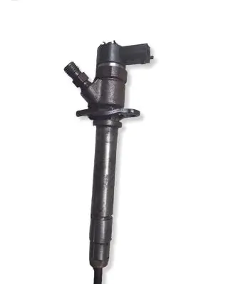 Volvo V70 Fuel injector 0445110078
