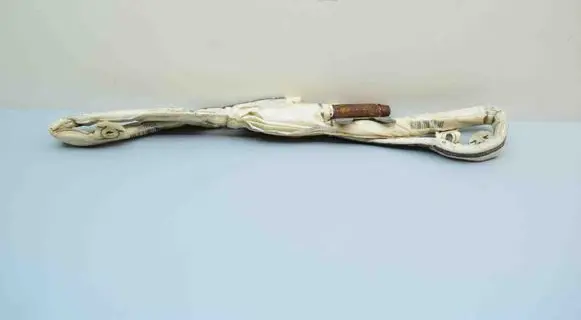 BMW 7 G11 G12 Roof airbag 0589P1000589