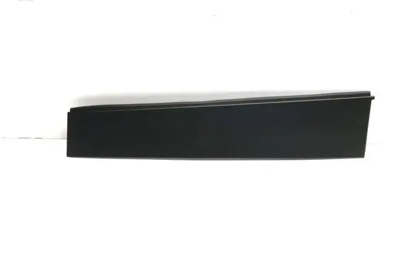 Dodge RAM Rear door trim (molding) 68292930AD