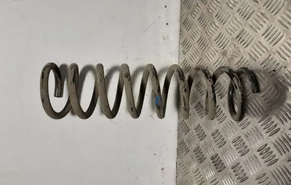 Ford Kuga II Rear coil spring